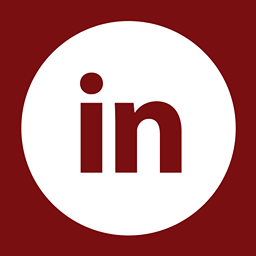 LinkedIn Icon